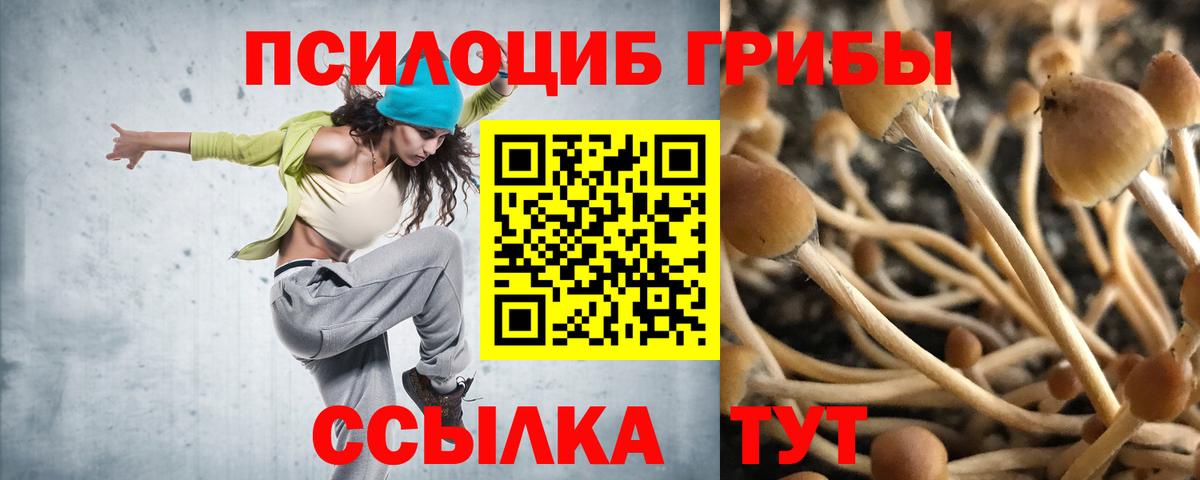 Карталы  Галлюциногенные грибы Psilocybine cubensis  Вход с VPN 