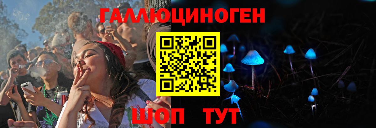 Псилоцибиновые грибы Cubensis Карталы